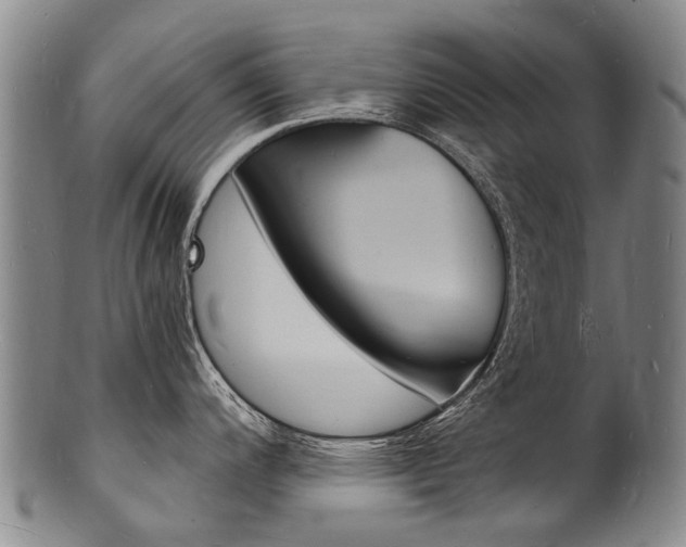 X0000101671200200807101042