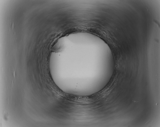 X0000101671201200807101041