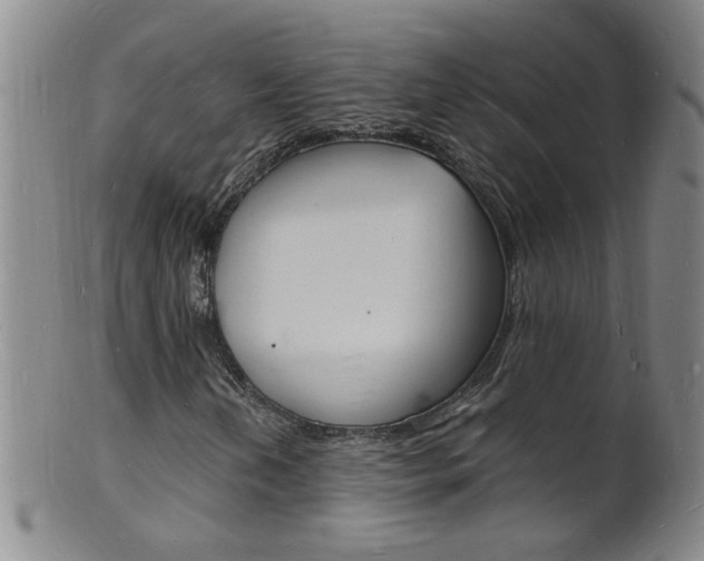 X0000101671202200807101041