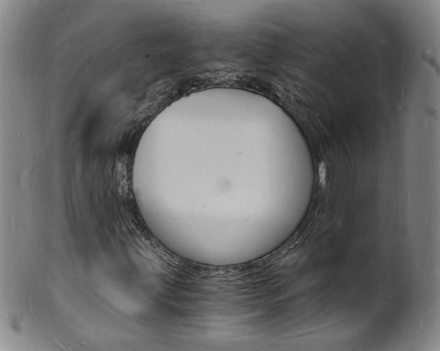 X0000101671203200807101041
