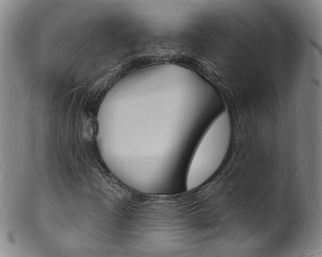 X0000101671204200807101041