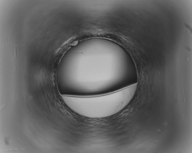 X0000101671205200807101041