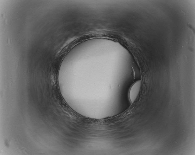X0000101671206200807101041
