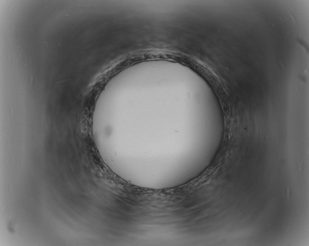 X0000101671207200807101041
