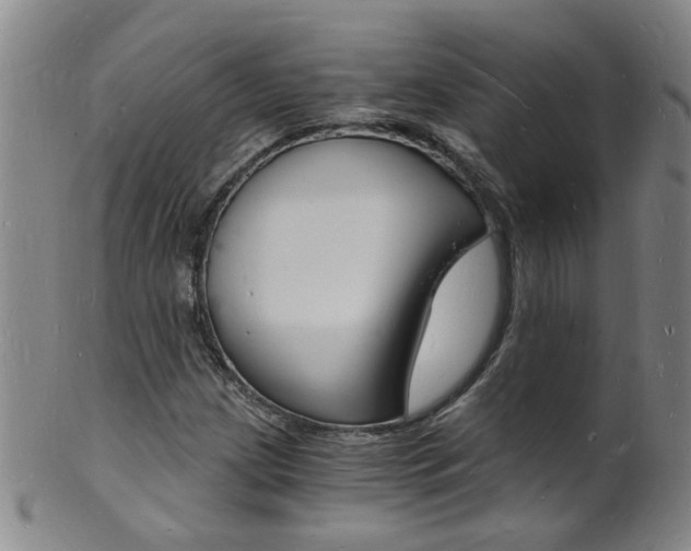 X0000101671209200807101041