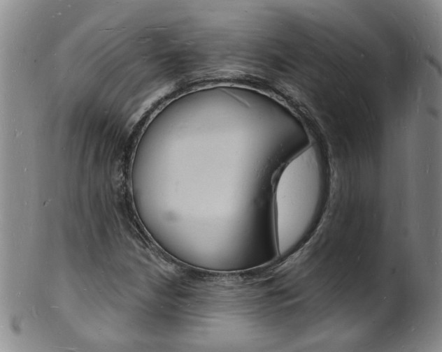X0000101671210200807101041