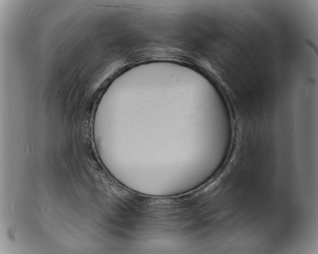 X0000101671211200807101041