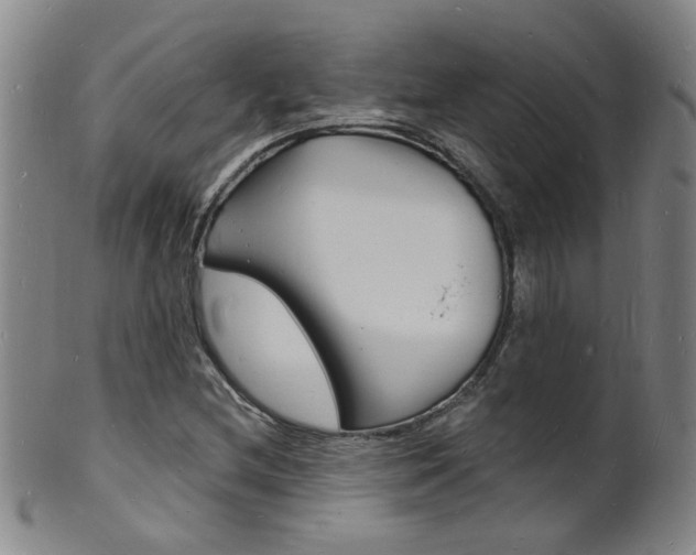 X0000101671212200807101041
