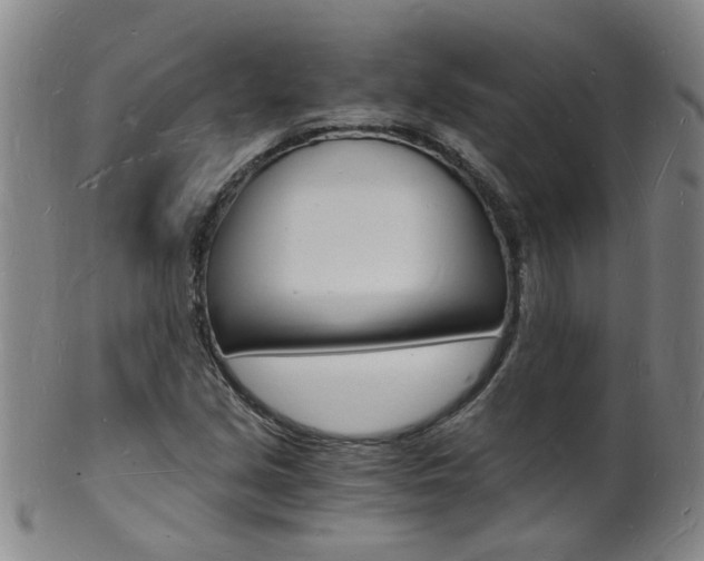 X0000101671213200807101041