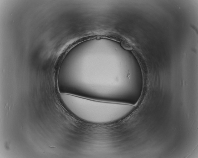 X0000101671214200807101041