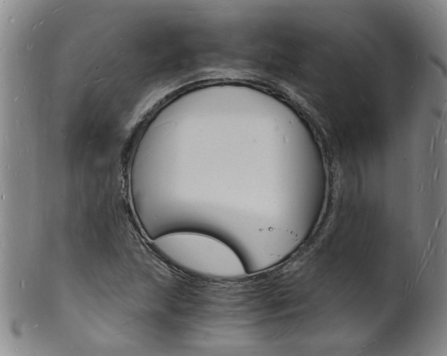 X0000101671215200807101041