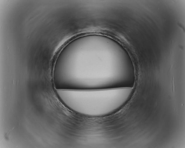 X0000101671216200807101041
