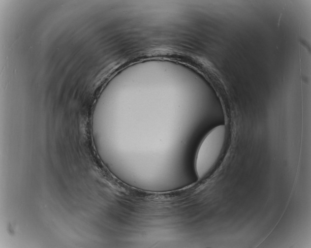 X0000101671217200807101041