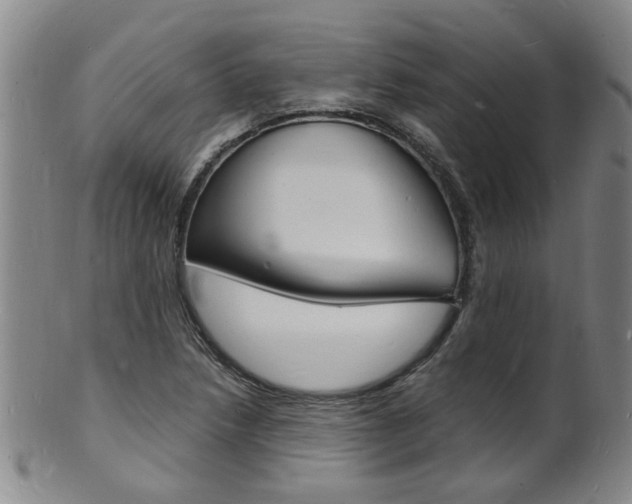 X0000101671218200807101041
