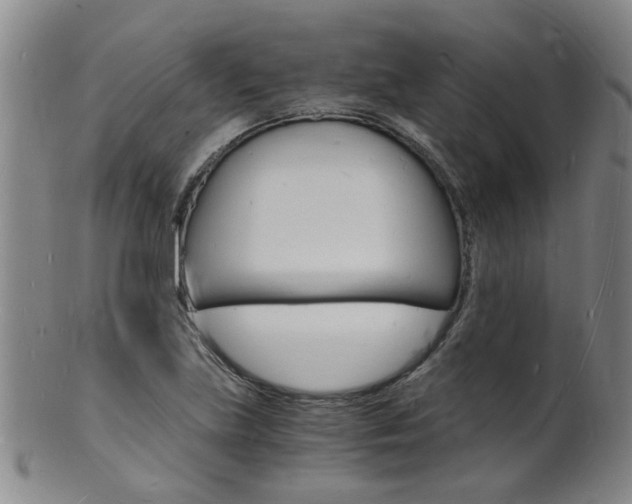 X0000101671219200807101041