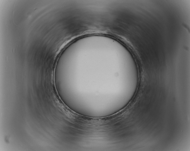 X0000101671220200807101041