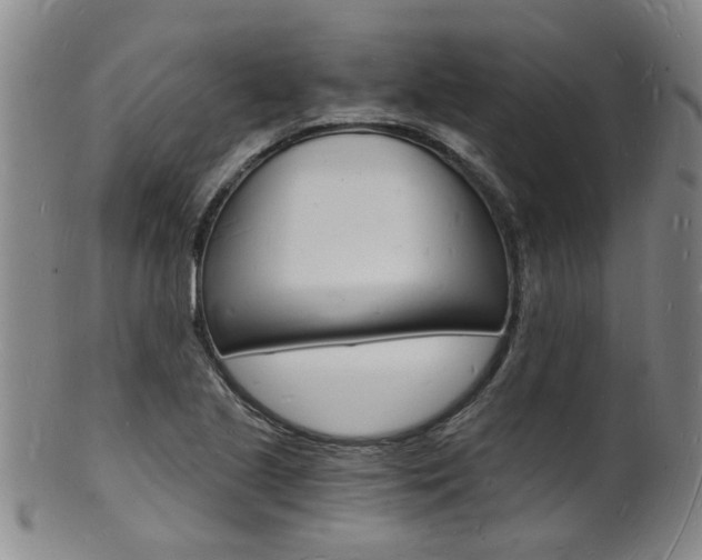X0000101671221200807101041