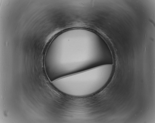 X0000101671222200807101041