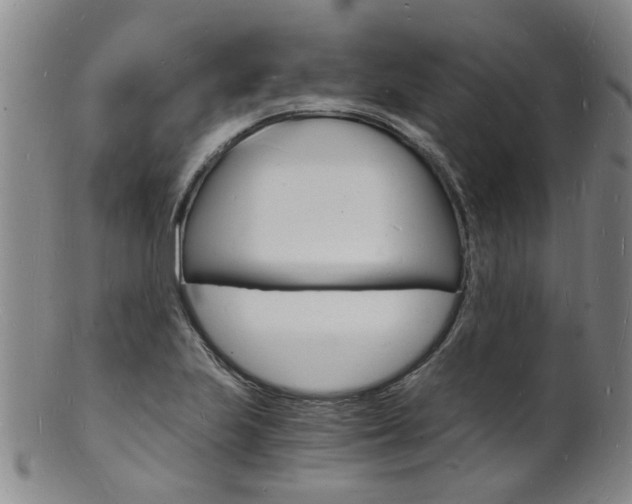 X0000101671223200807101041