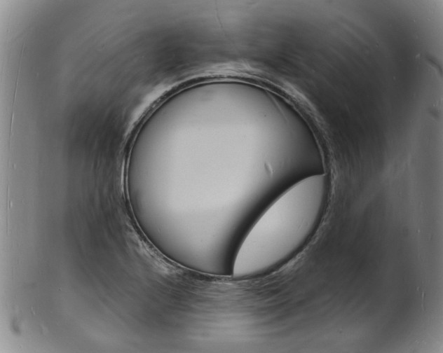 X0000101671224200807101041
