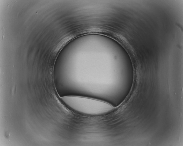 X0000101671225200807101041