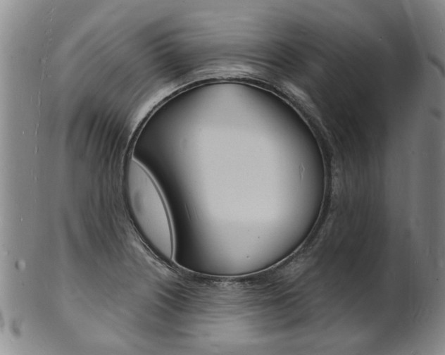 X0000101671226200807101041