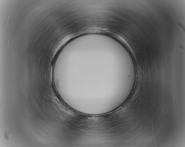 X0000101671227200807101041
