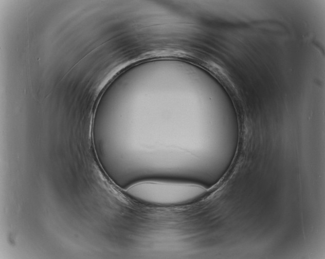 X0000101671228200807101041