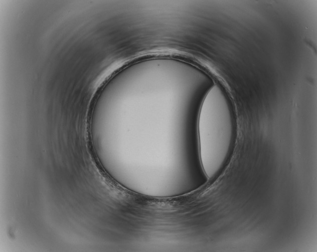 X0000101671229200807101041