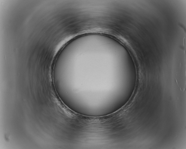 X0000101671230200807101041