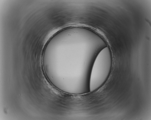 X0000101671231200807101041
