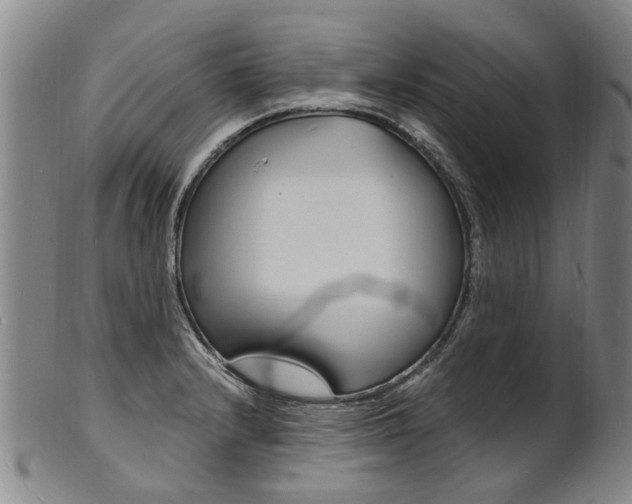 X0000101671232200807101041