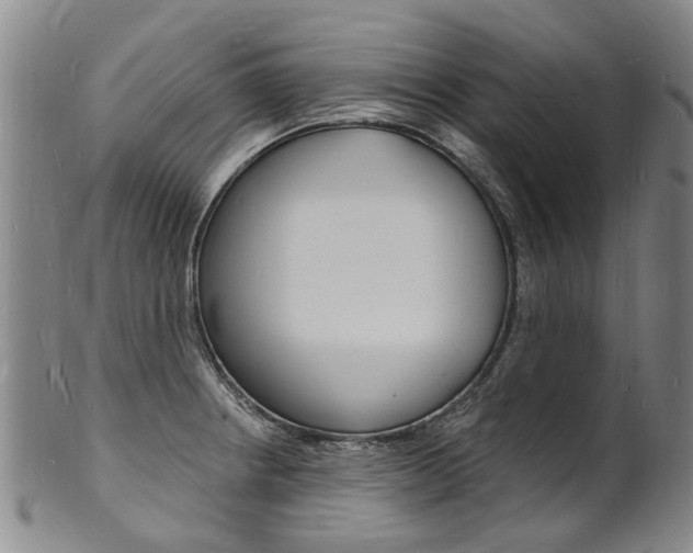 X0000101671234200807101041