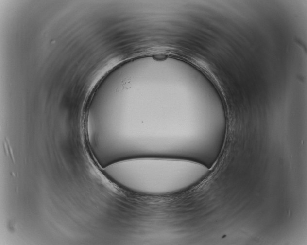 X0000101671235200807101041