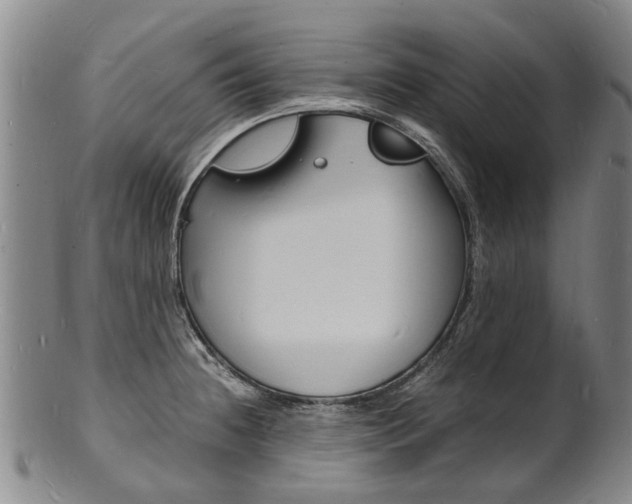 X0000101671236200807101042