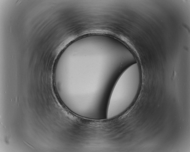 X0000101671237200807101042