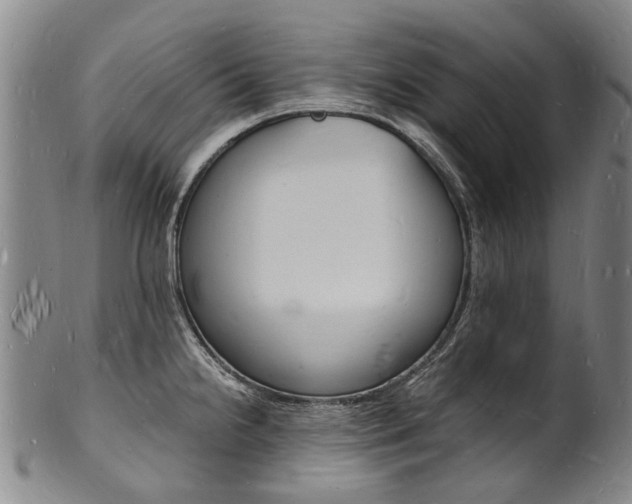 X0000101671238200807101042