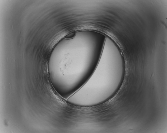 X0000101671241200807101042