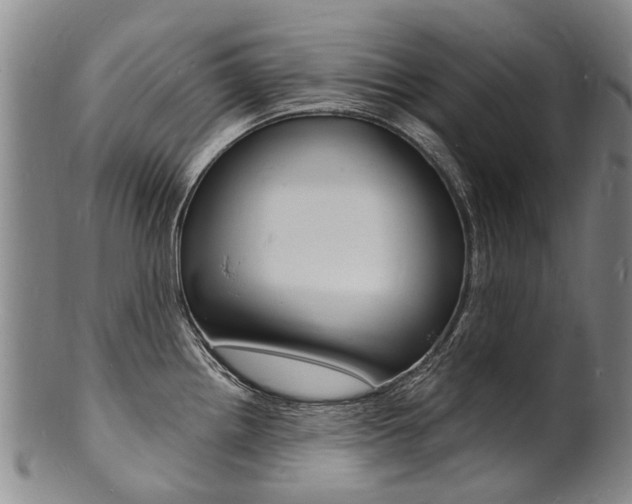 X0000101671242200807101042