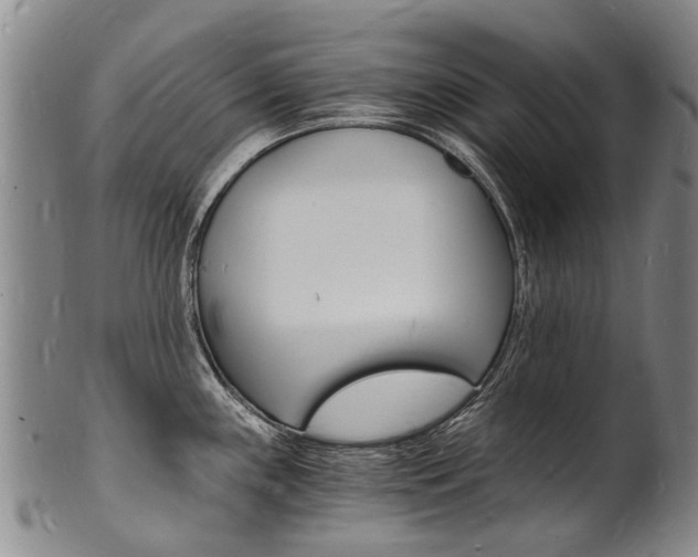 X0000101671243200807101042