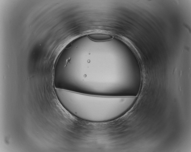 X0000101671244200807101042