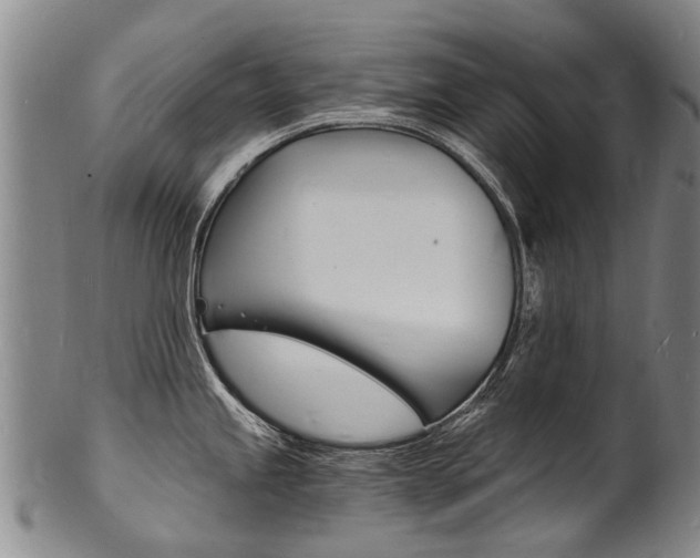 X0000101671245200807101042
