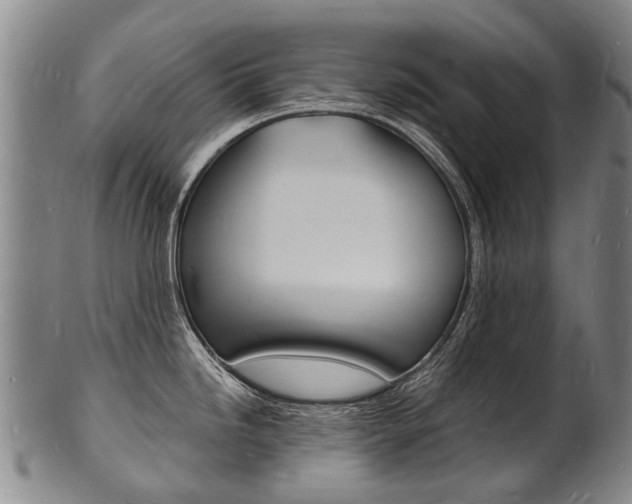 X0000101671246200807101042