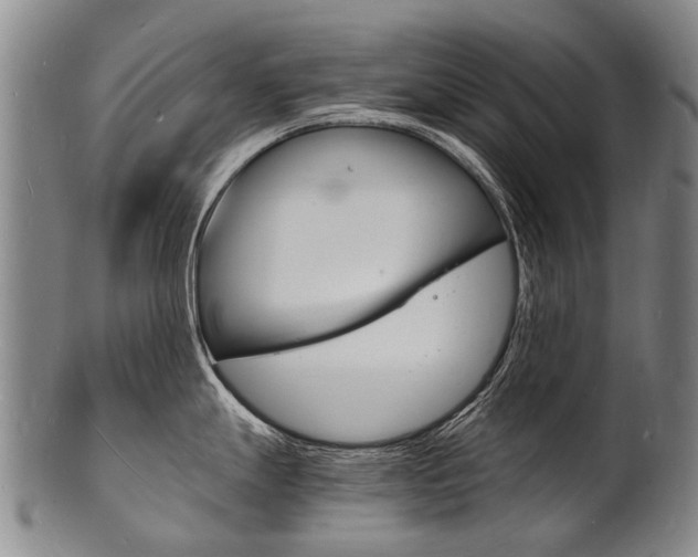 X0000101671247200807101042
