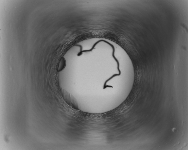 X0000101671249200807101041