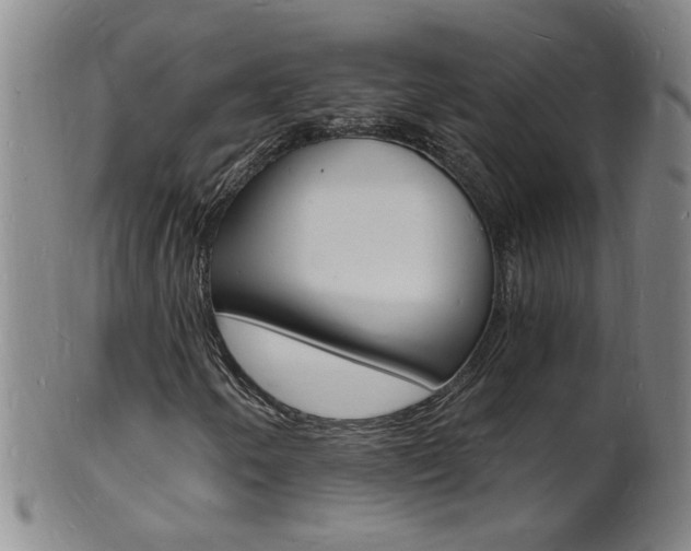 X0000101671250200807101041