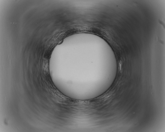 X0000101671251200807101041