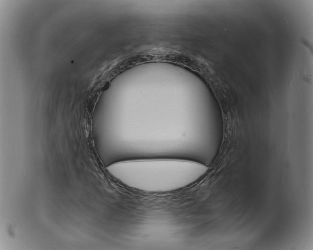 X0000101671253200807101041