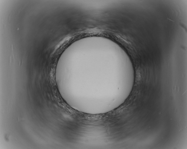 X0000101671254200807101041