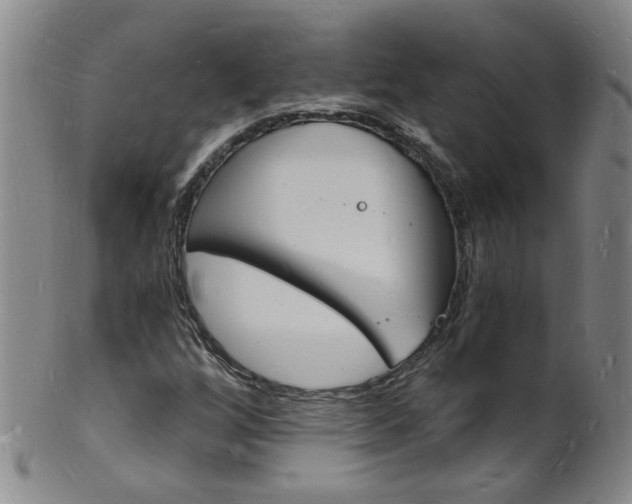 X0000101671256200807101041